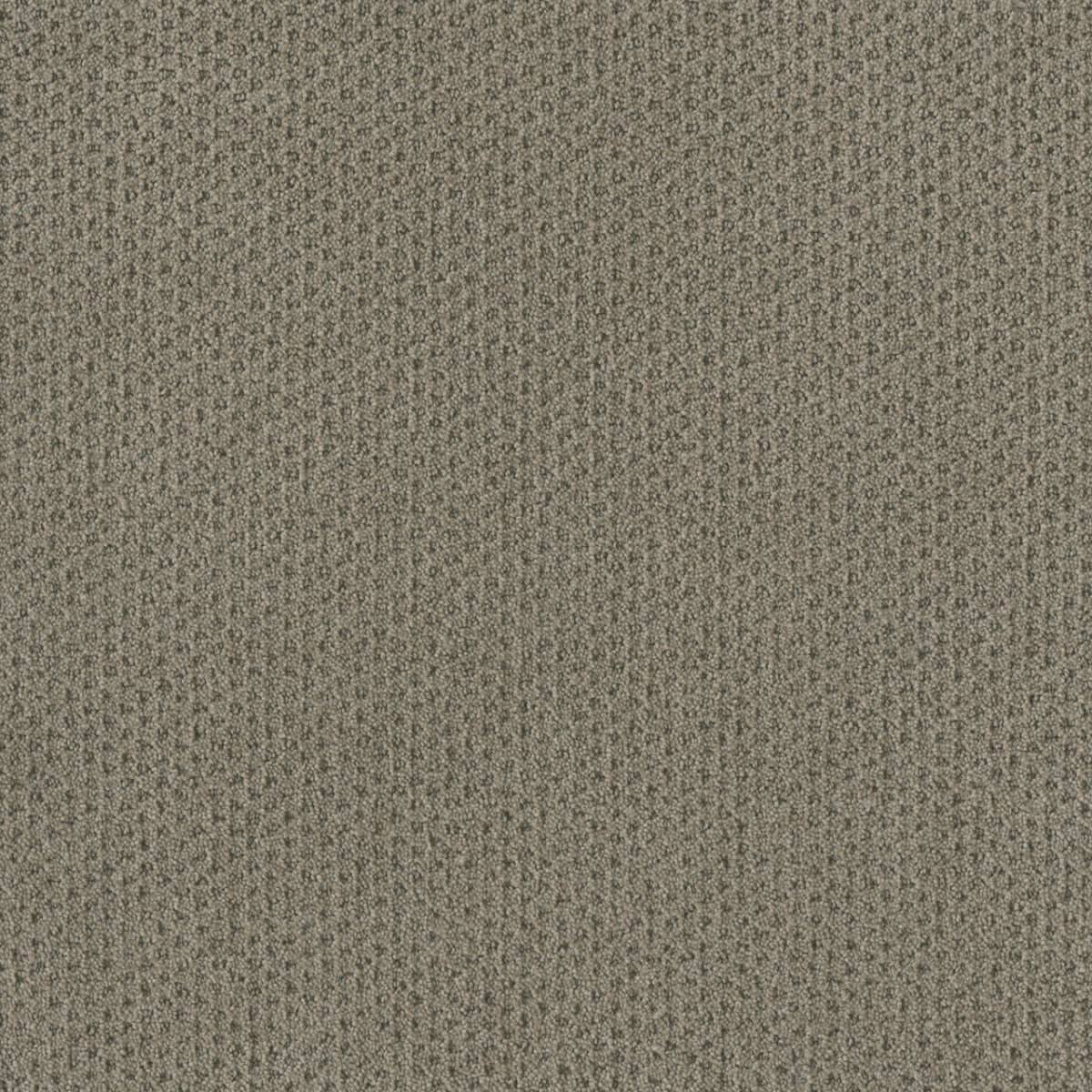 DreamWeaver® Moon Bay Patterned Loop Carpet