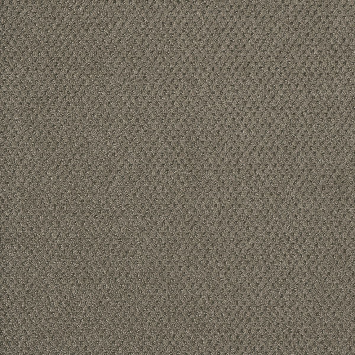 DreamWeaver® Moon Bay Patterned Loop Carpet
