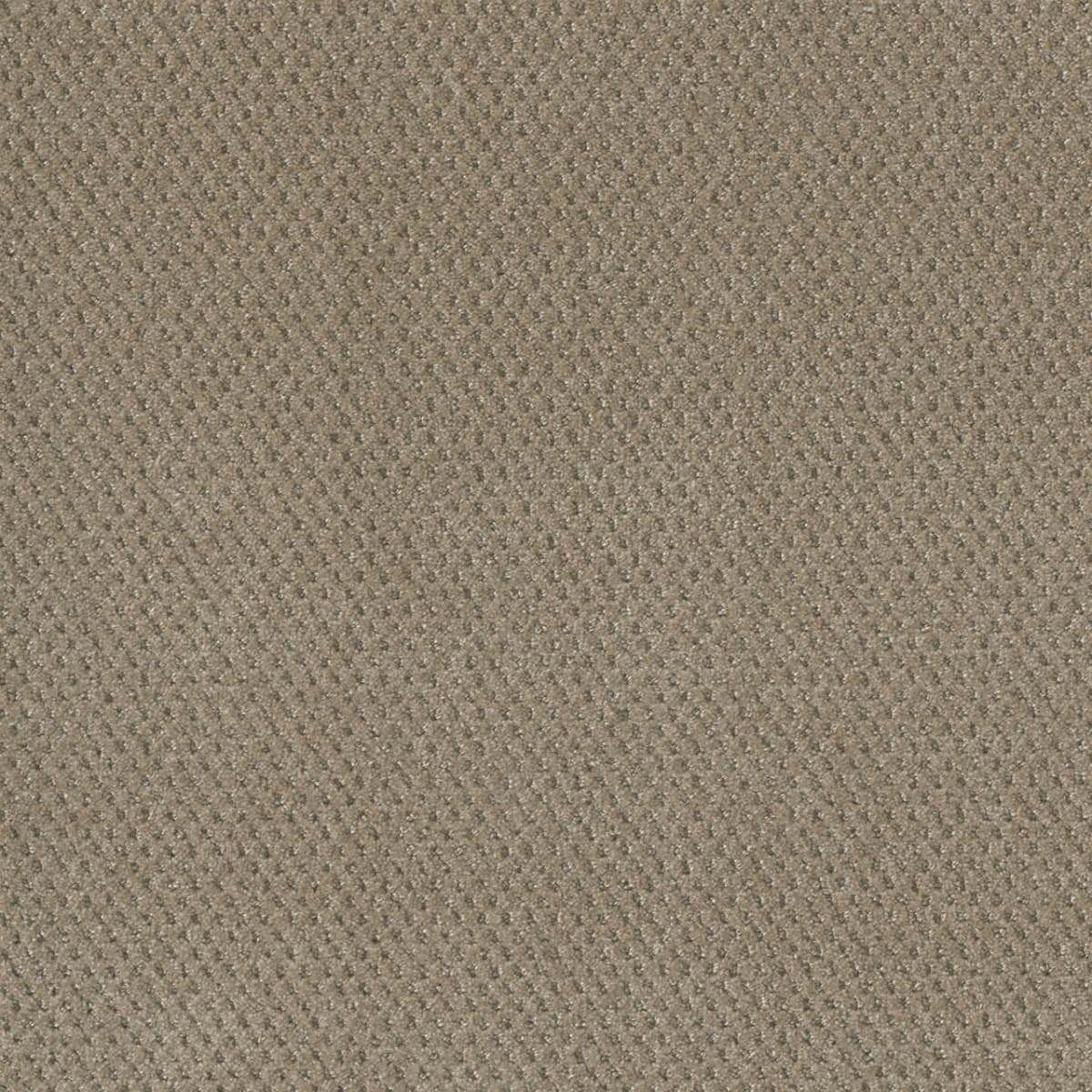 DreamWeaver® Moon Bay Patterned Loop Carpet