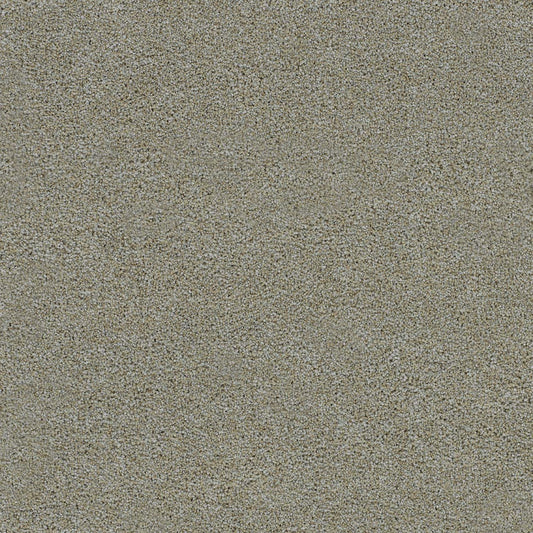 DreamWeaver® Morning Glory III Cut Pile Carpet
