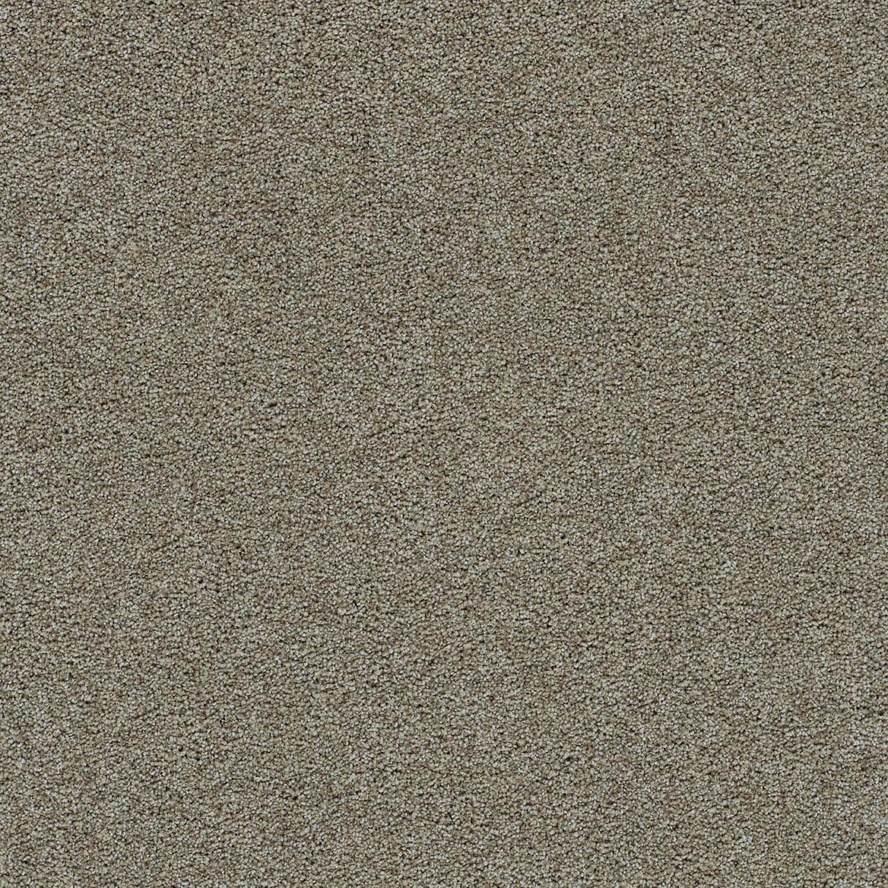 DreamWeaver® Morning Glory II Cut Pile Carpet
