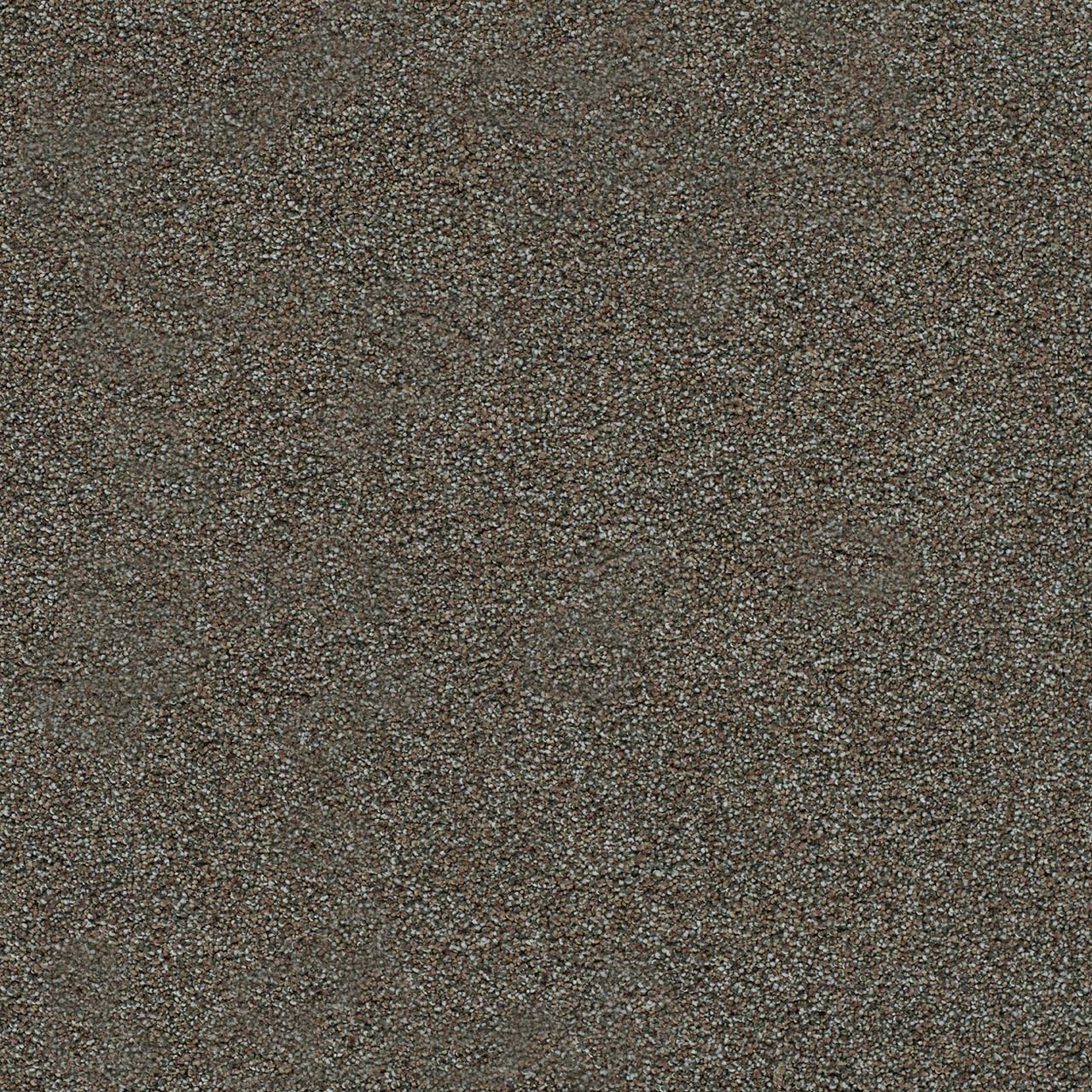 DreamWeaver® Morning Glory II Cut Pile Carpet
