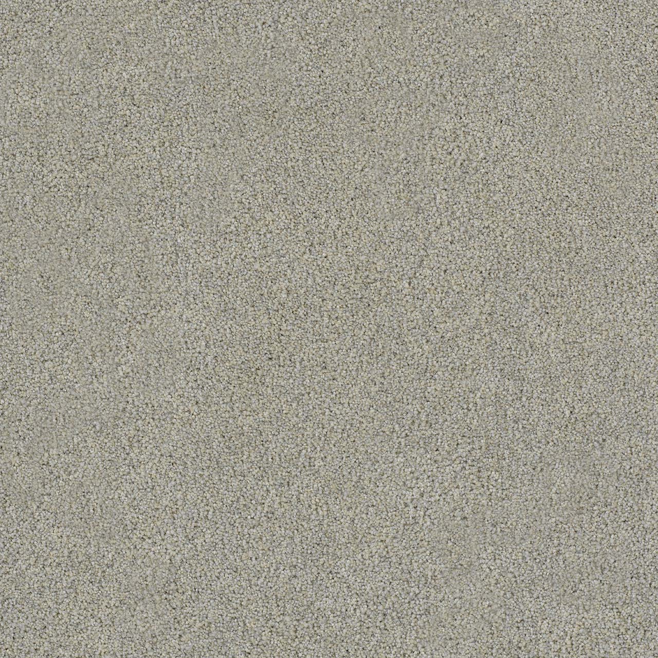 DreamWeaver® Morning Glory II Cut Pile Carpet