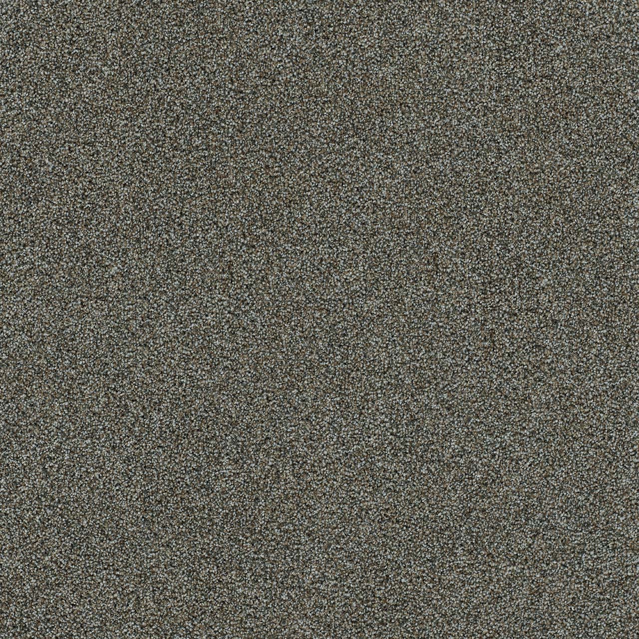 DreamWeaver® Morning Glory II Cut Pile Carpet