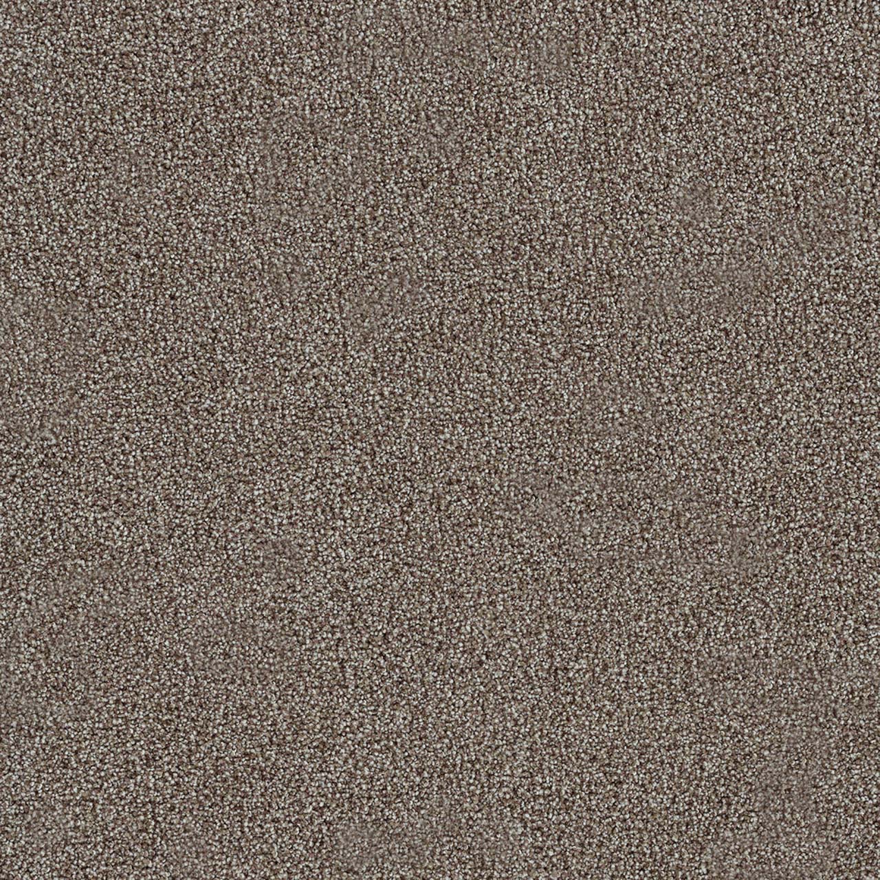 DreamWeaver® Morning Glory II Cut Pile Carpet
