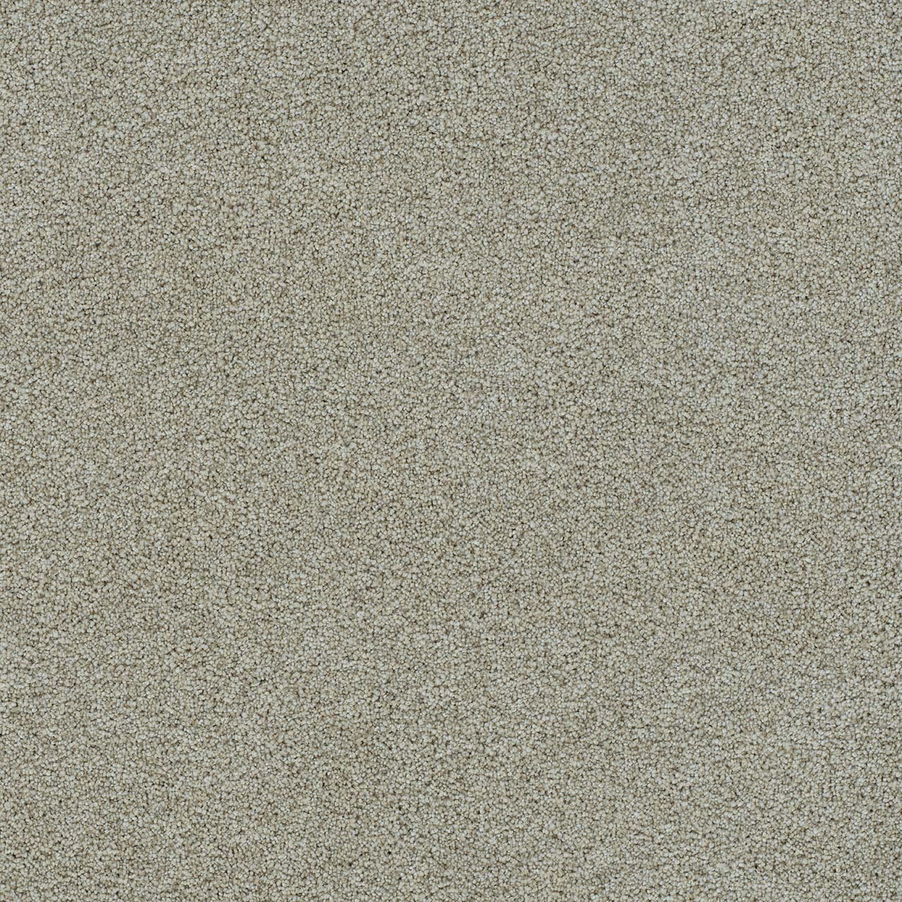 DreamWeaver® Morning Glory II Cut Pile Carpet