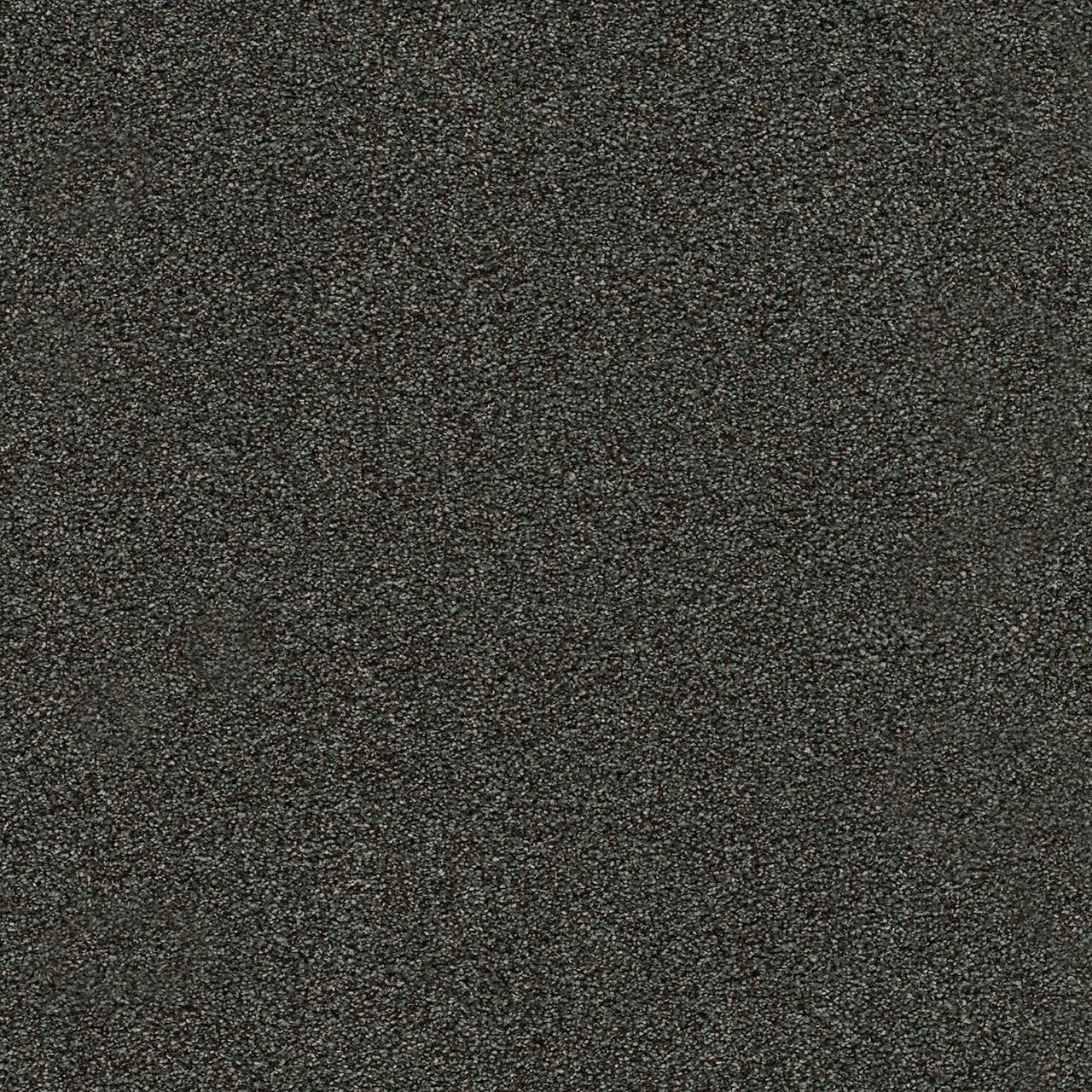DreamWeaver® Morning Glory II Cut Pile Carpet