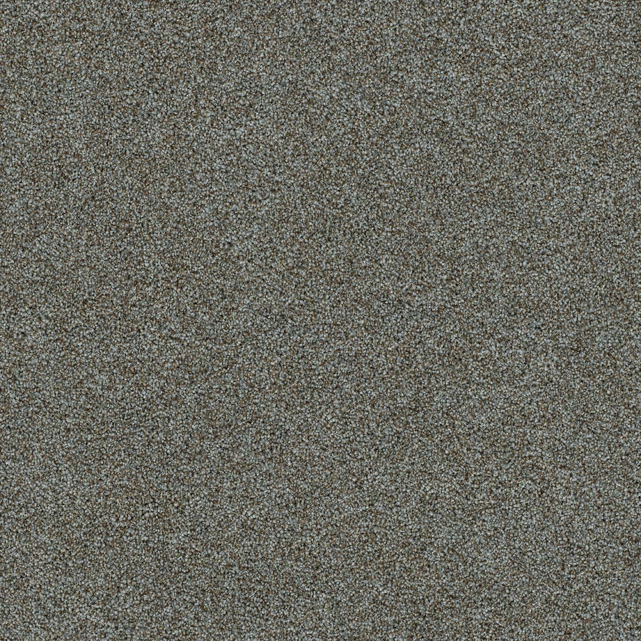 DreamWeaver® Morning Glory II Cut Pile Carpet