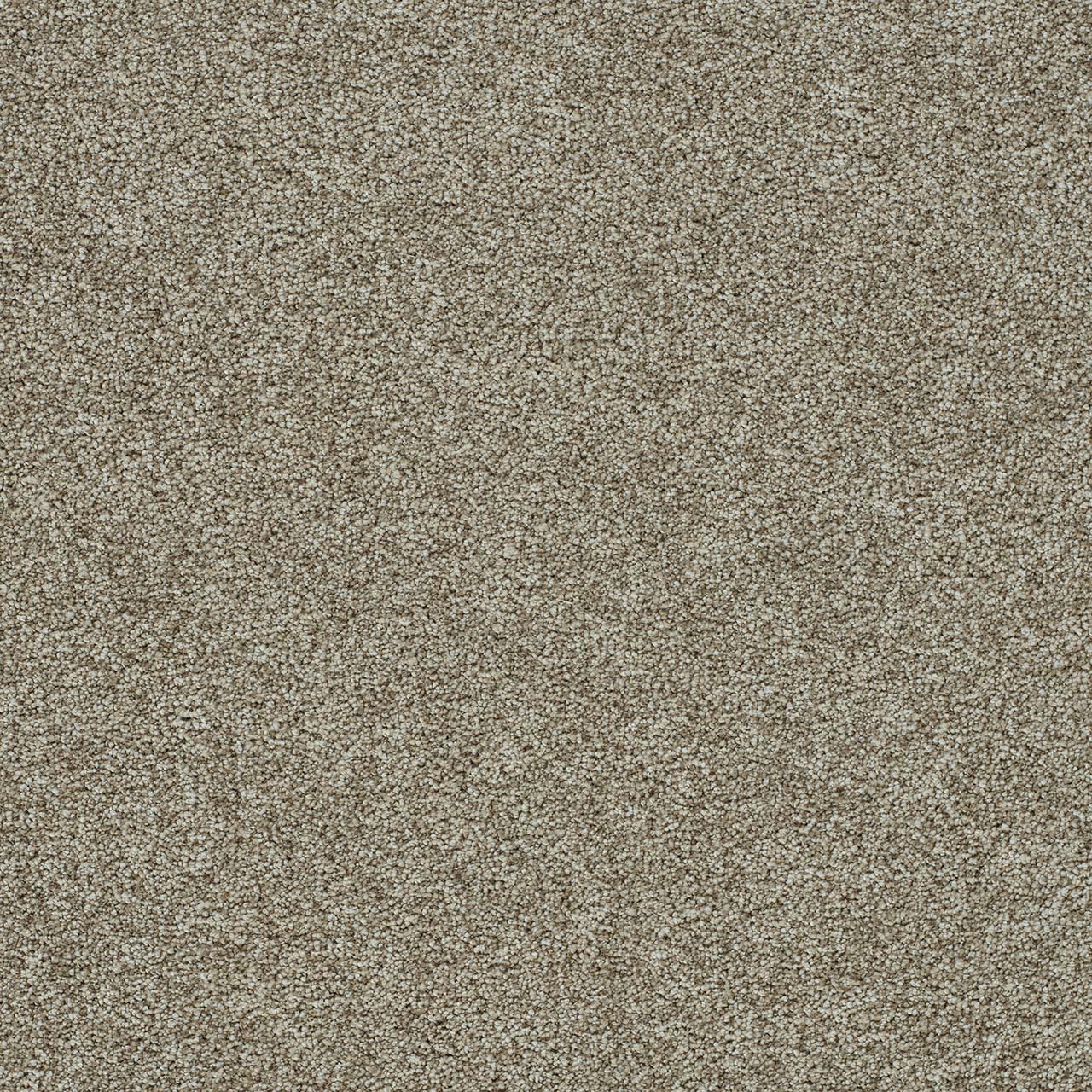 DreamWeaver® Morning Glory II Cut Pile Carpet