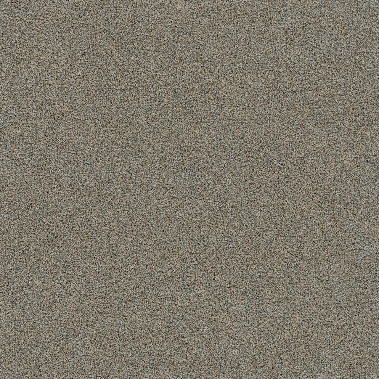 DreamWeaver® Morning Glory II Cut Pile Carpet