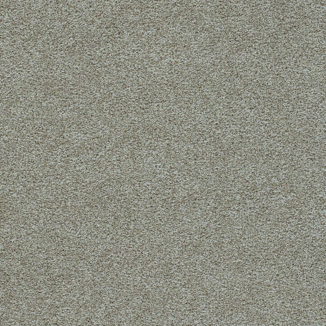 DreamWeaver® Morning Glory II Cut Pile Carpet