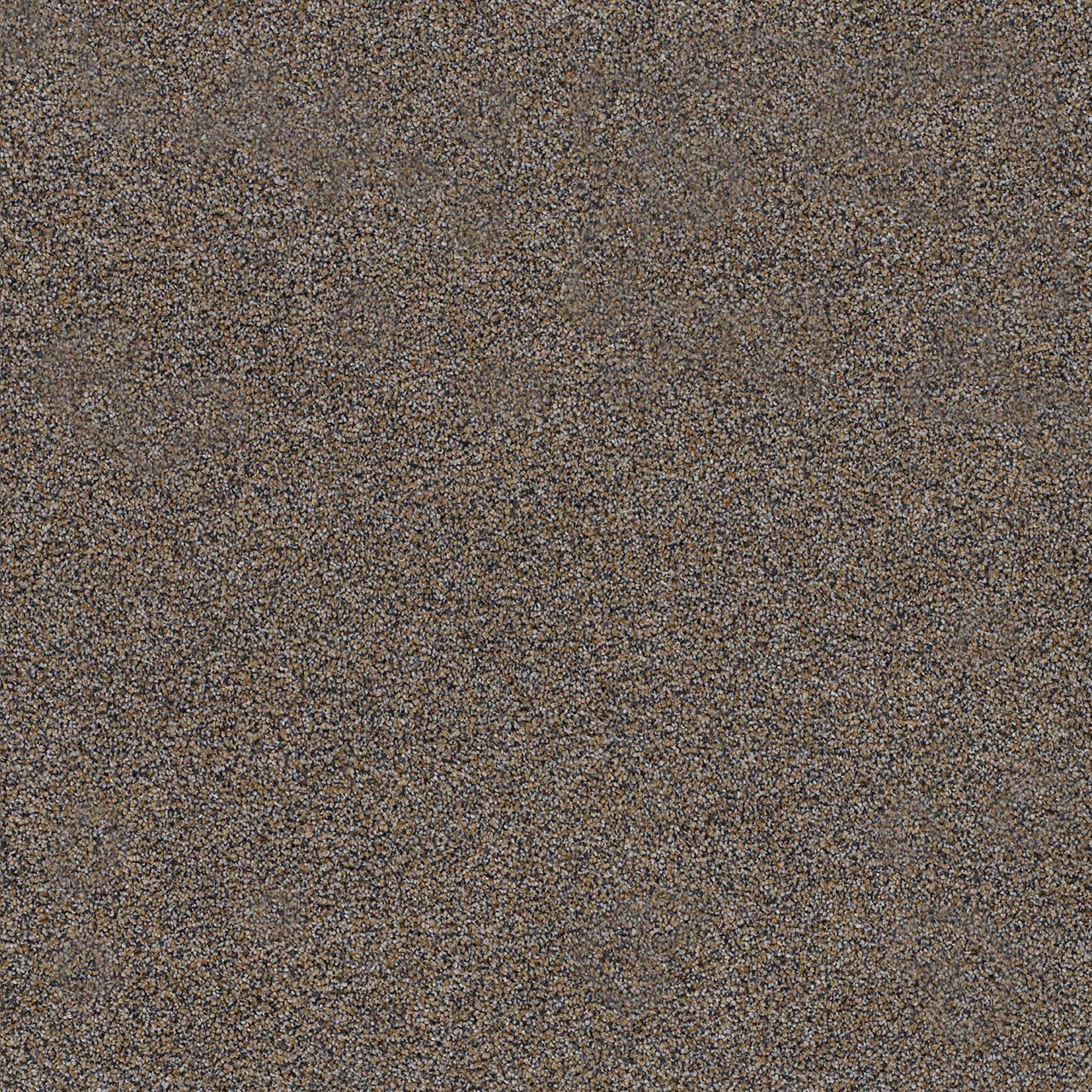 DreamWeaver® Morning Glory II Cut Pile Carpet
