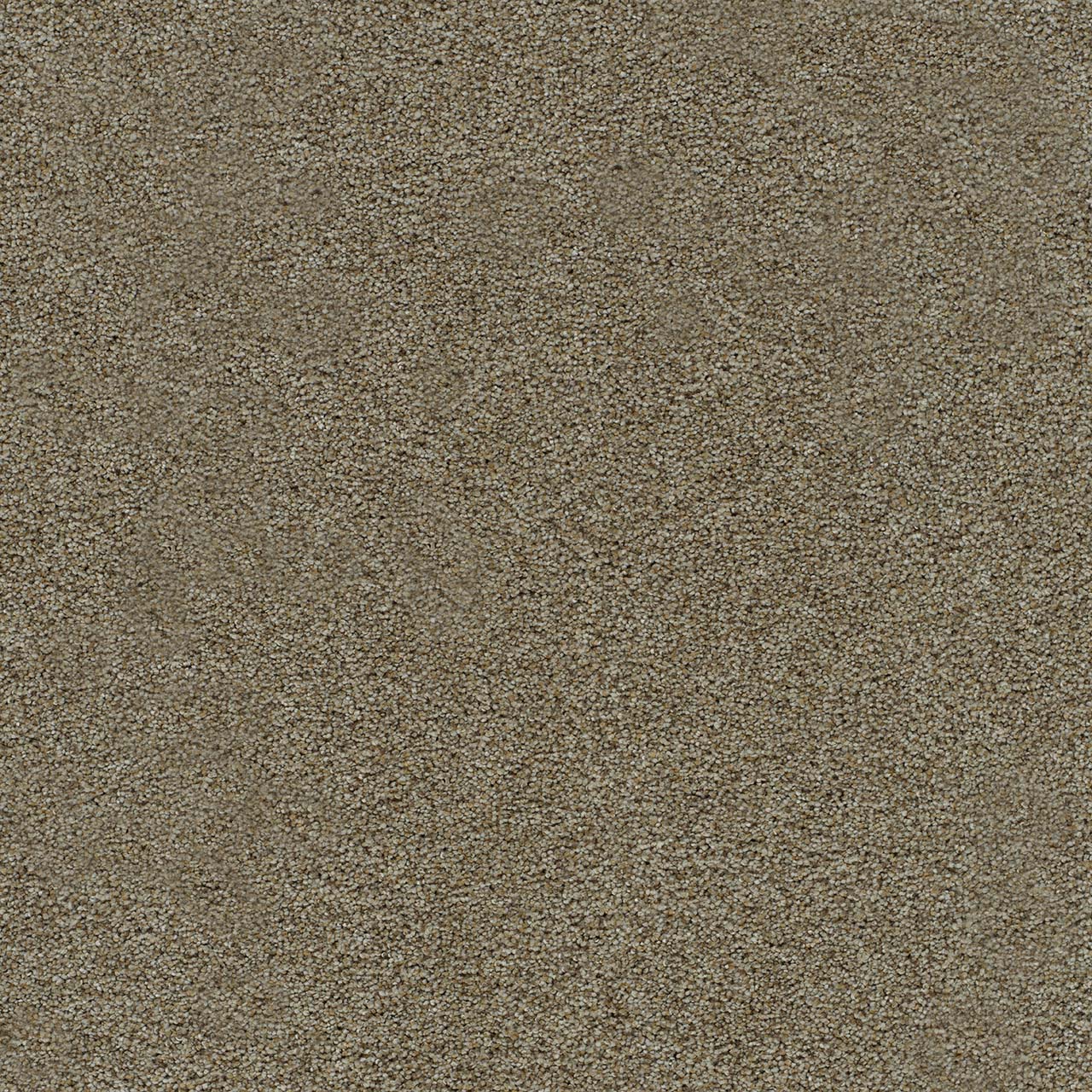 DreamWeaver® Morning Glory II Cut Pile Carpet