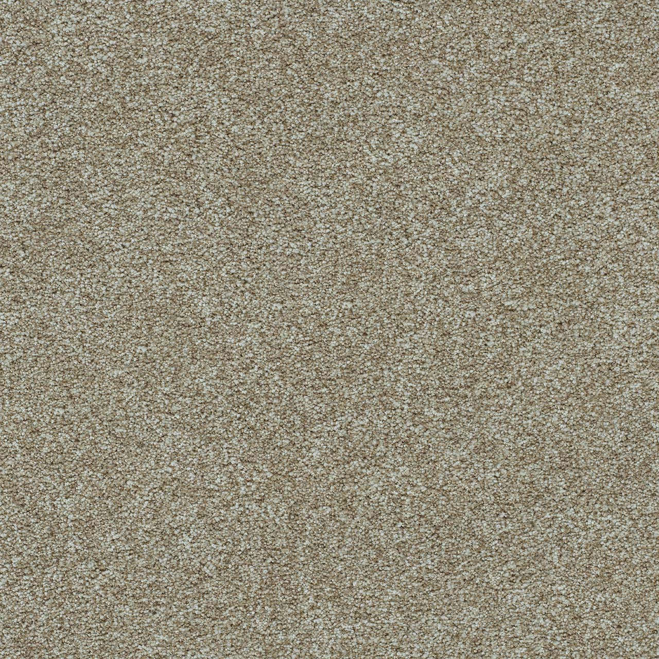 DreamWeaver® Morning Glory II Cut Pile Carpet