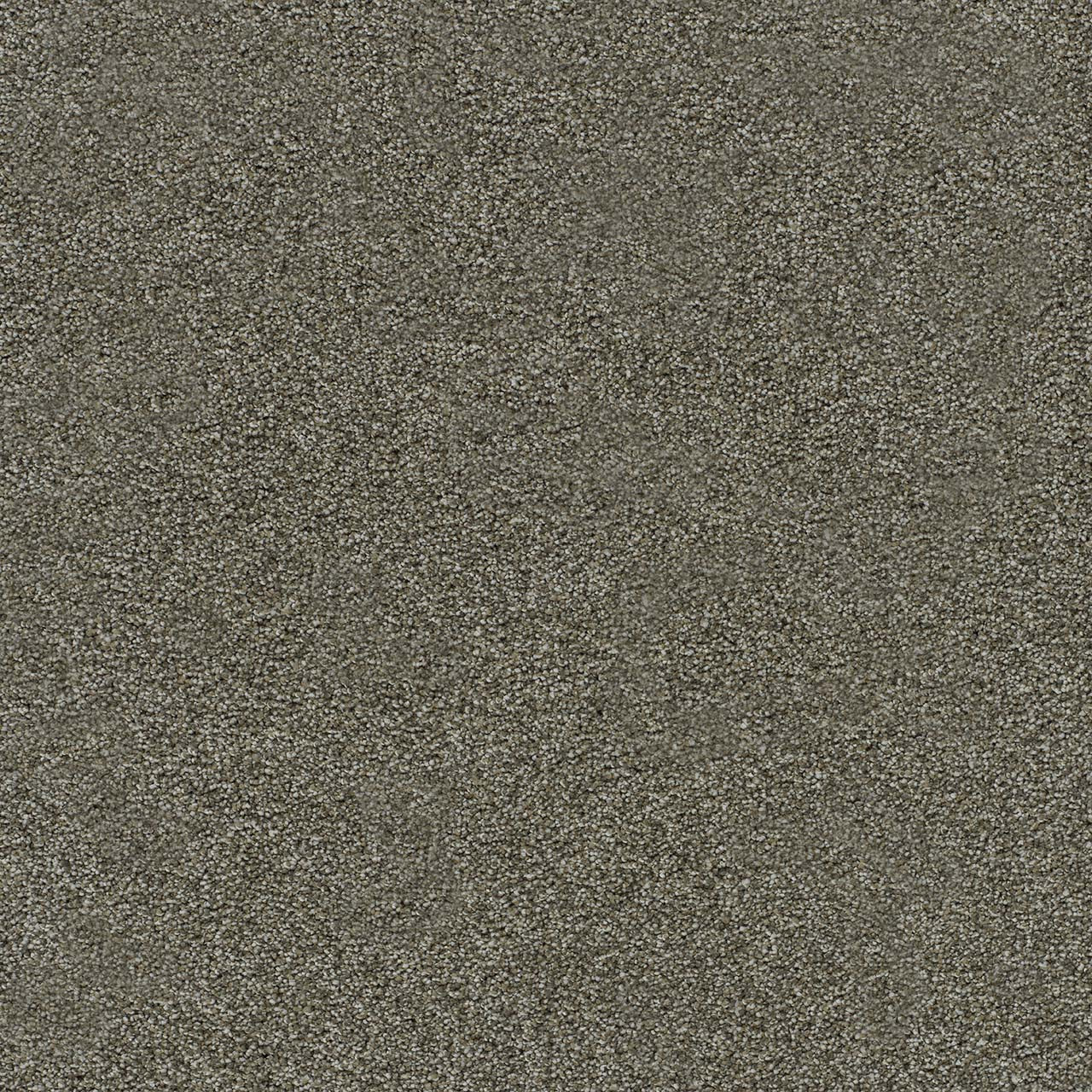 DreamWeaver® Morning Glory II Cut Pile Carpet