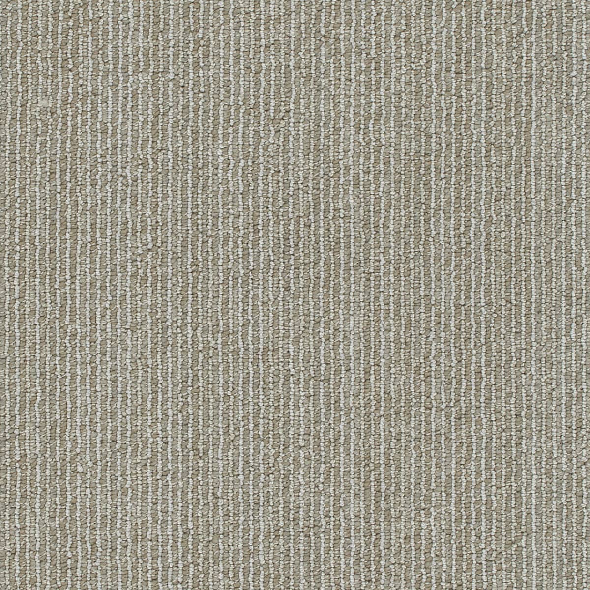 DreamWeaver® Select Newport Patterned Carpet