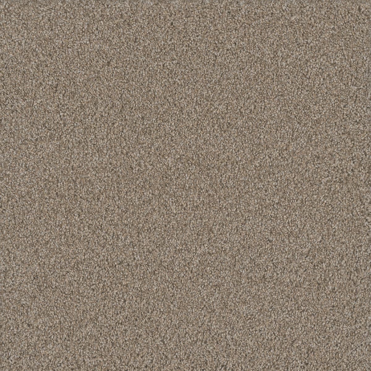 DreamWeaver® No Limits II Textured Cut Pile Carpet