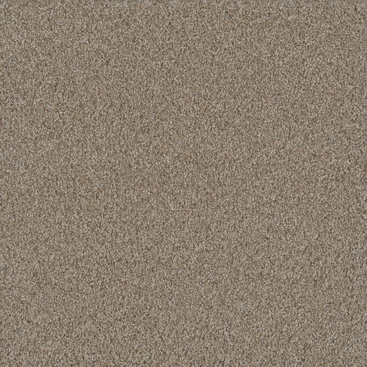 DreamWeaver® No Limits III Textured Cut Pile Carpet