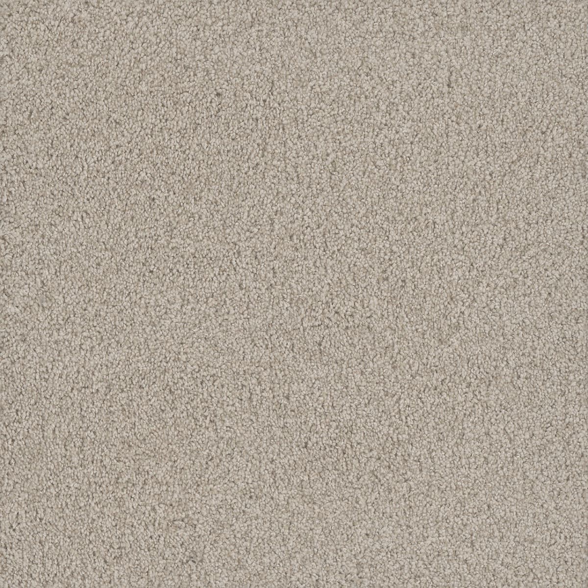 DreamWeaver® No Limits II Textured Cut Pile Carpet