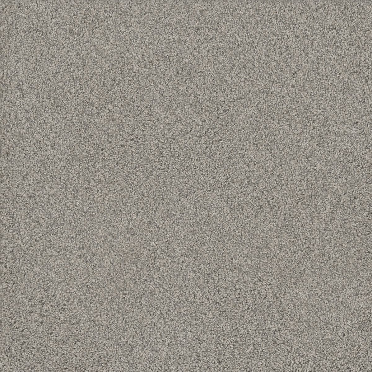 DreamWeaver® No Limits II Textured Cut Pile Carpet