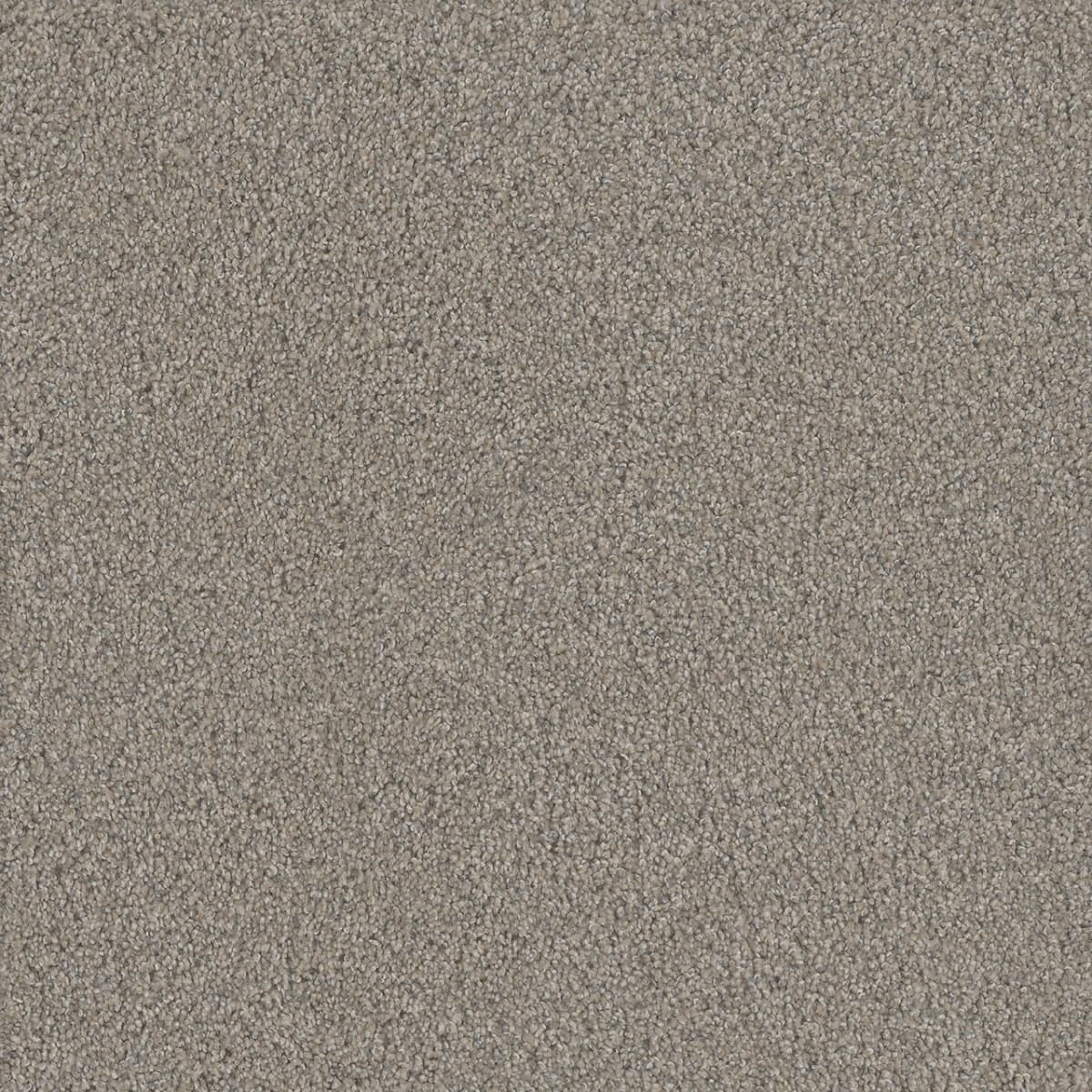 DreamWeaver® No Limits II Textured Cut Pile Carpet