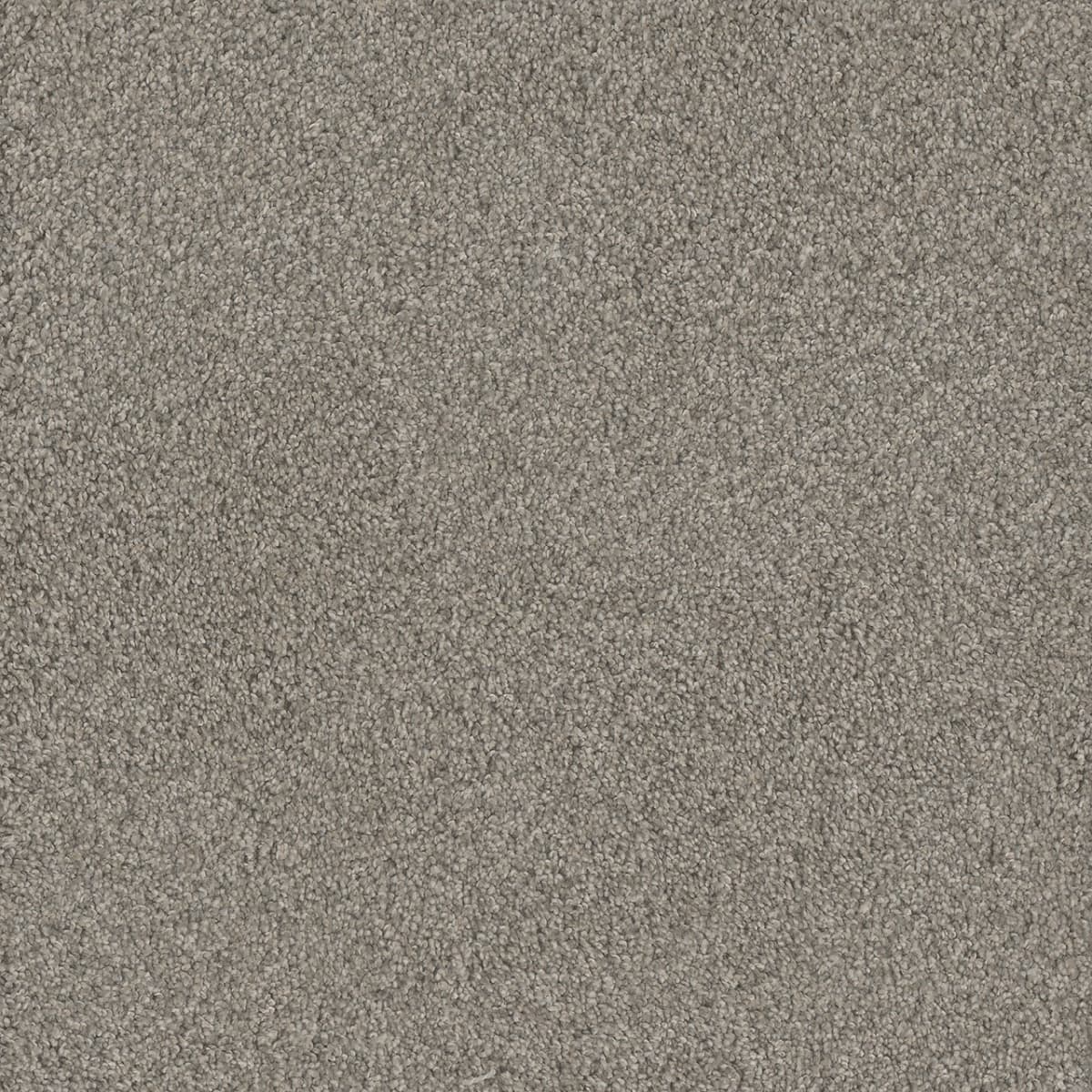 DreamWeaver® No Limits II Textured Cut Pile Carpet