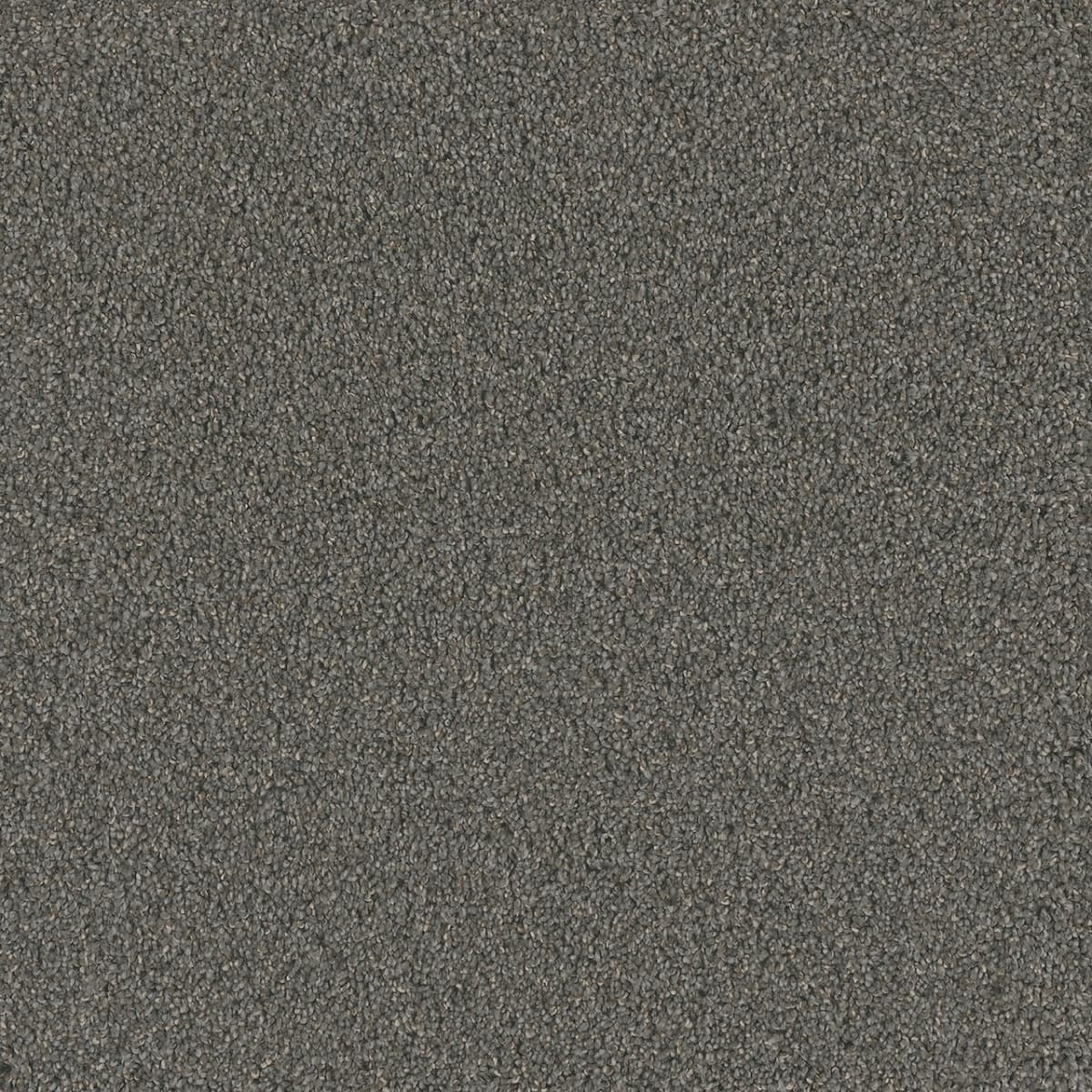 DreamWeaver® No Limits II Textured Cut Pile Carpet