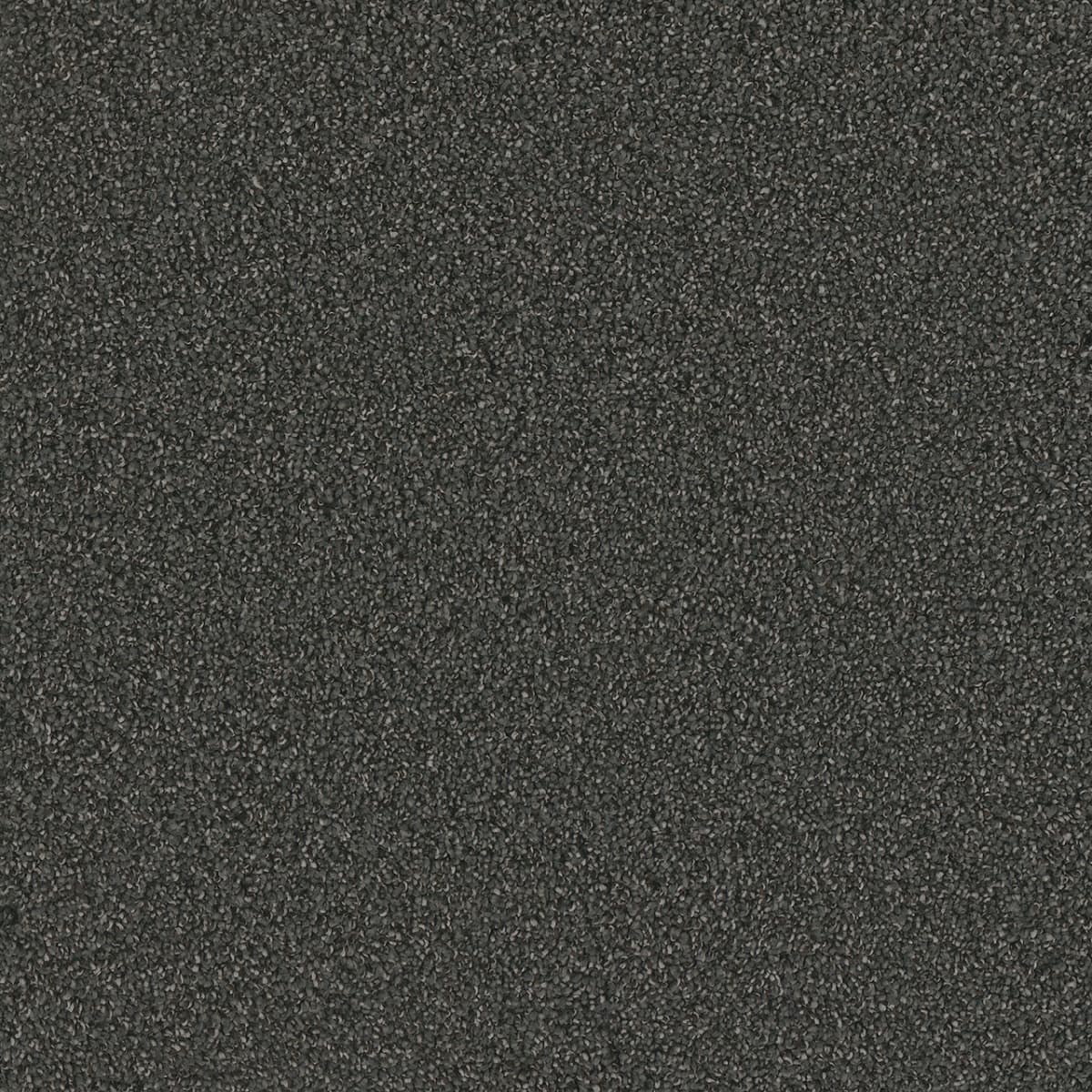 DreamWeaver® No Limits II Textured Cut Pile Carpet