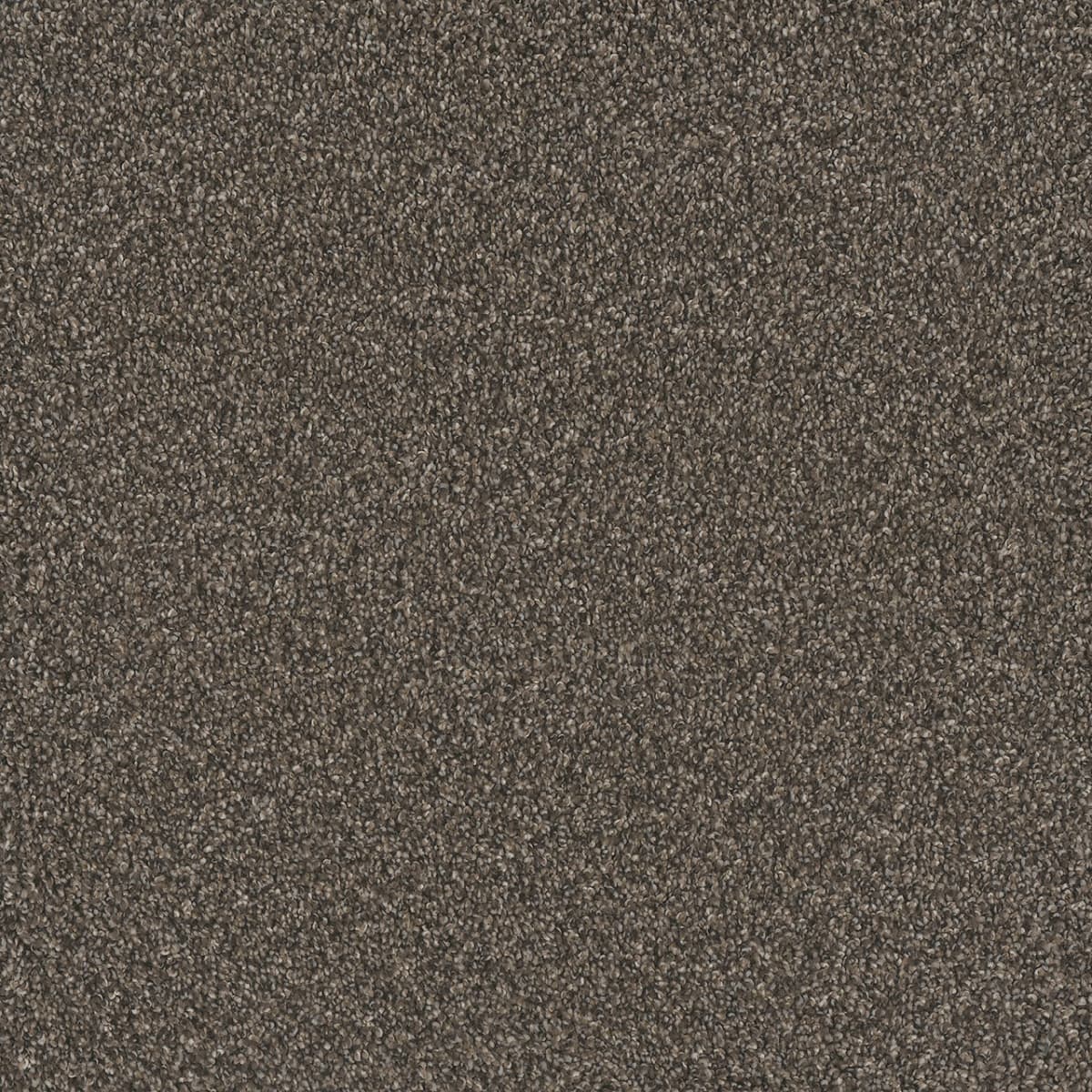 DreamWeaver® No Limits II Textured Cut Pile Carpet