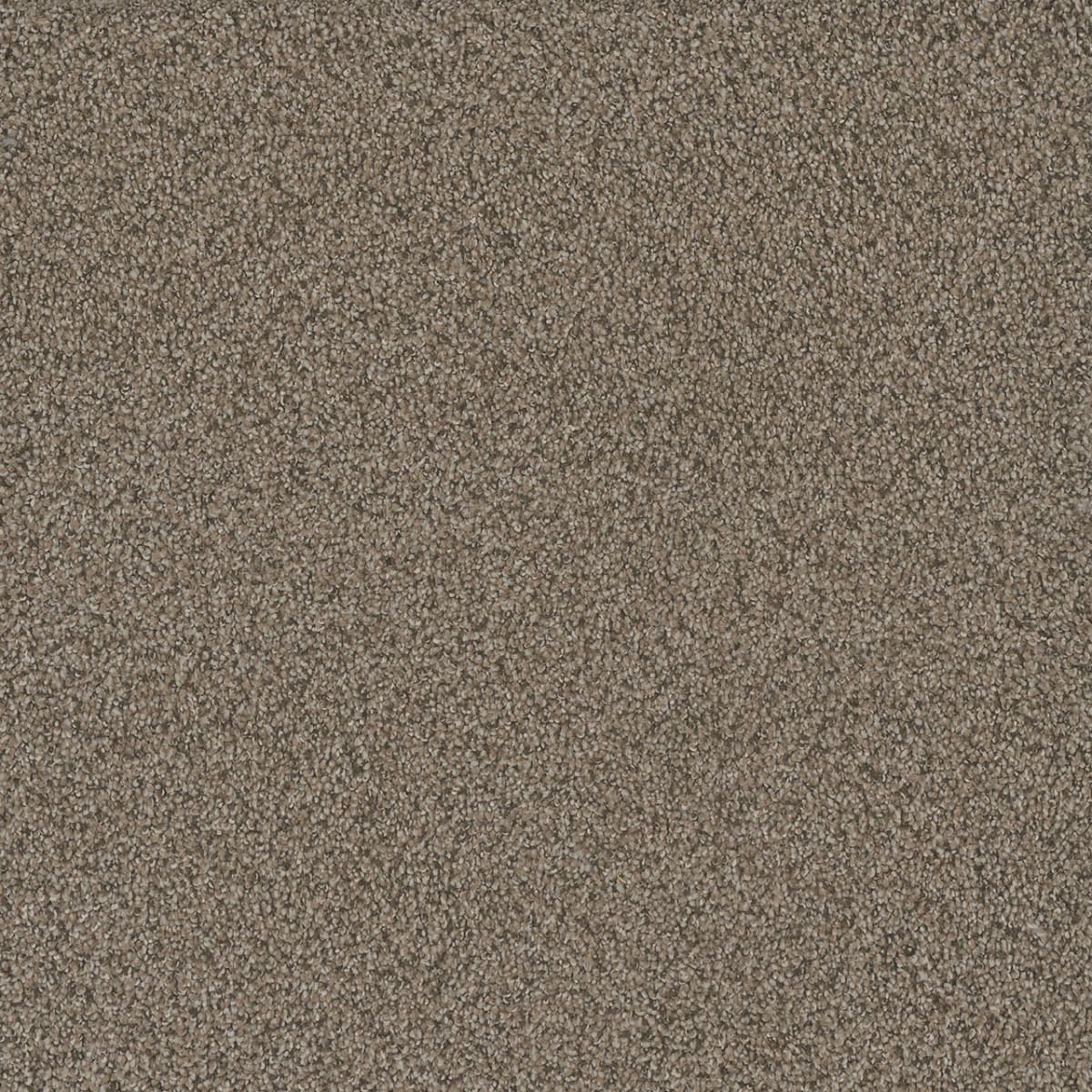 DreamWeaver® No Limits II Textured Cut Pile Carpet