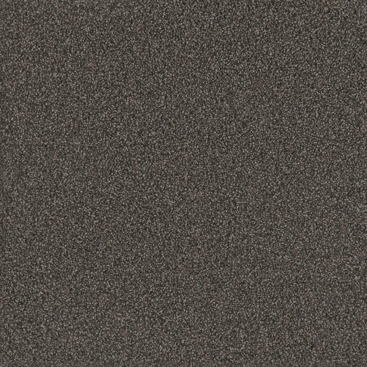 DreamWeaver® No Limits II Textured Cut Pile Carpet