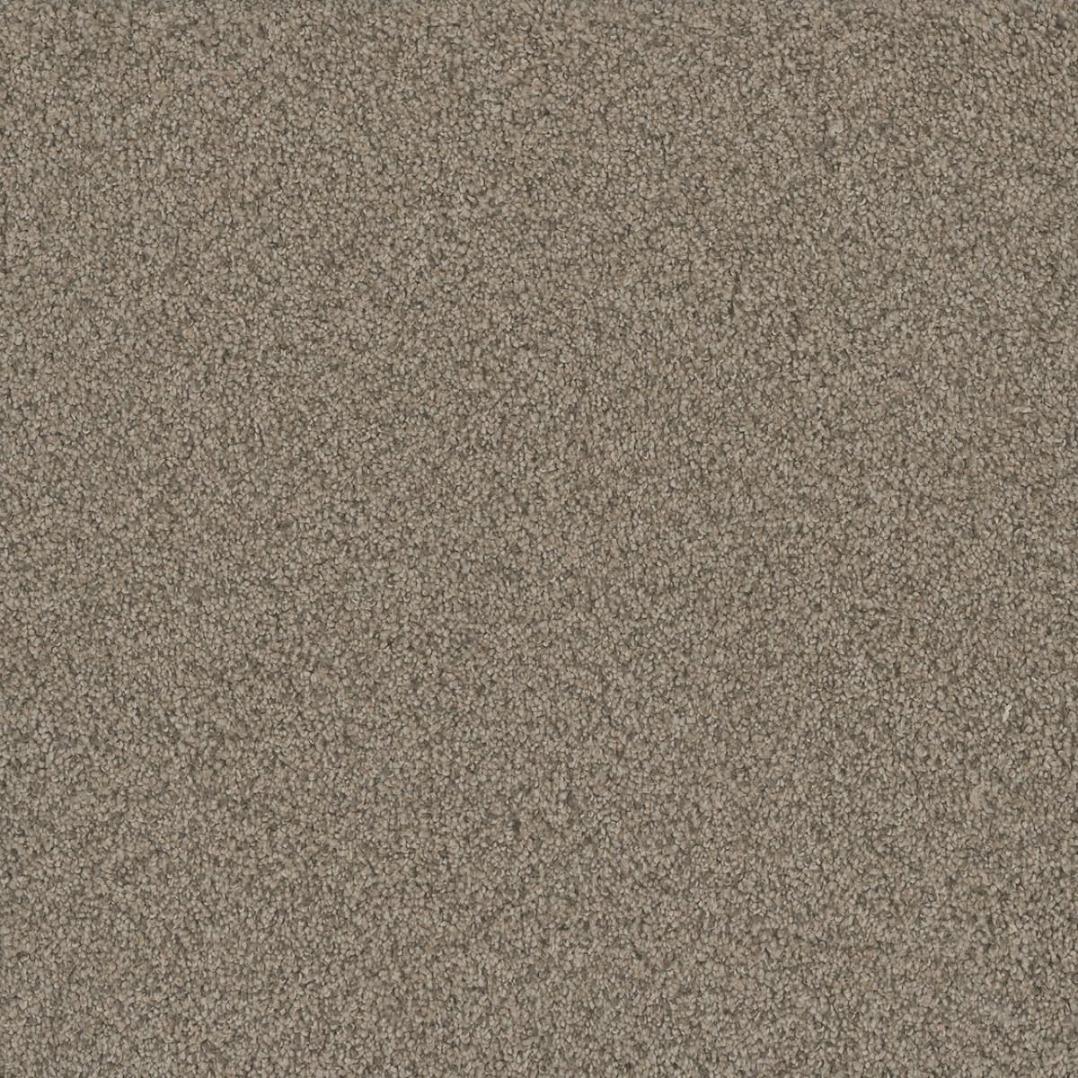 DreamWeaver® No Limits II Textured Cut Pile Carpet