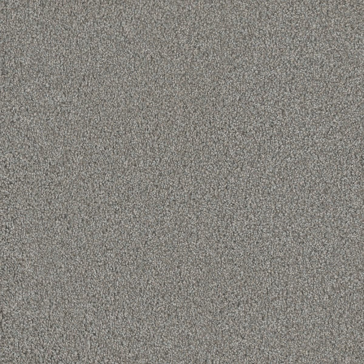DreamWeaver® No Limits II Textured Cut Pile Carpet
