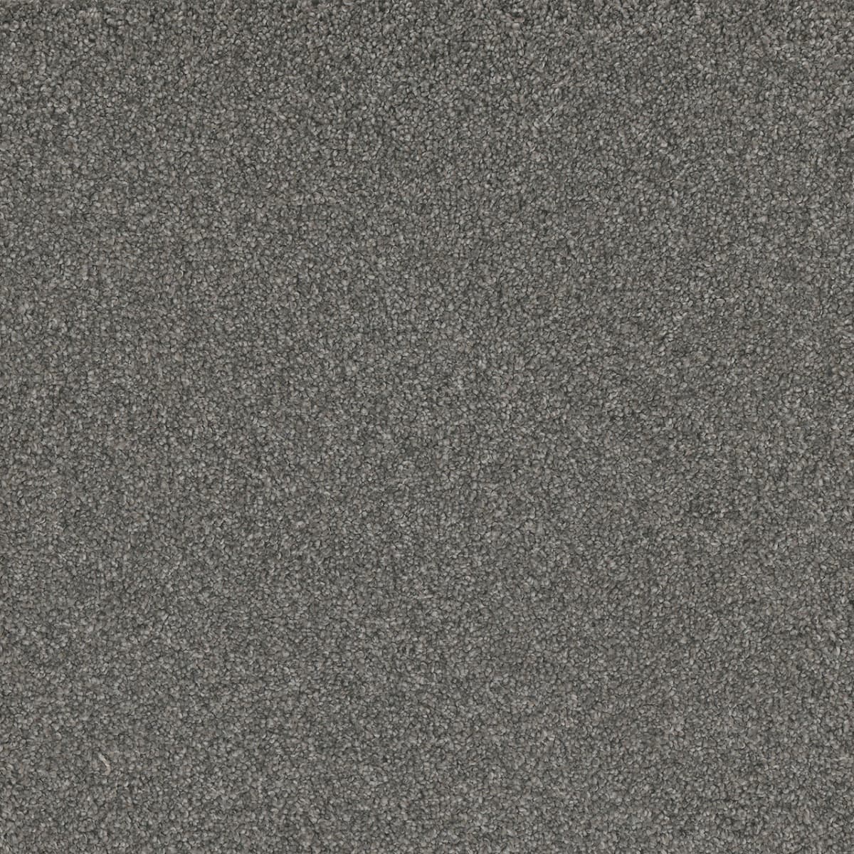 DreamWeaver® No Limits II Textured Cut Pile Carpet