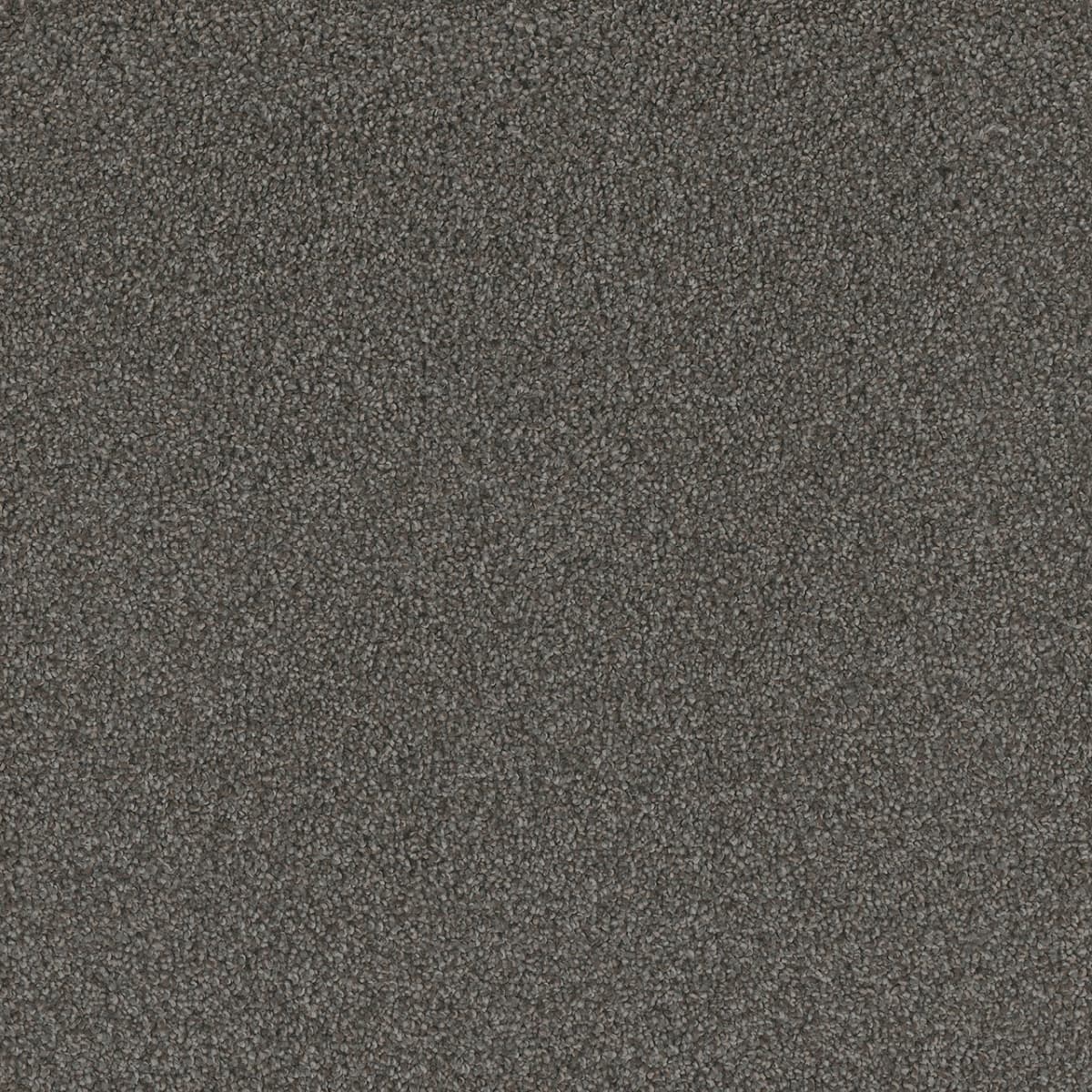 DreamWeaver® No Limits II Textured Cut Pile Carpet