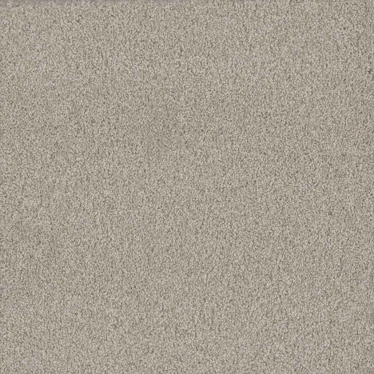 DreamWeaver® No Limits II Textured Cut Pile Carpet