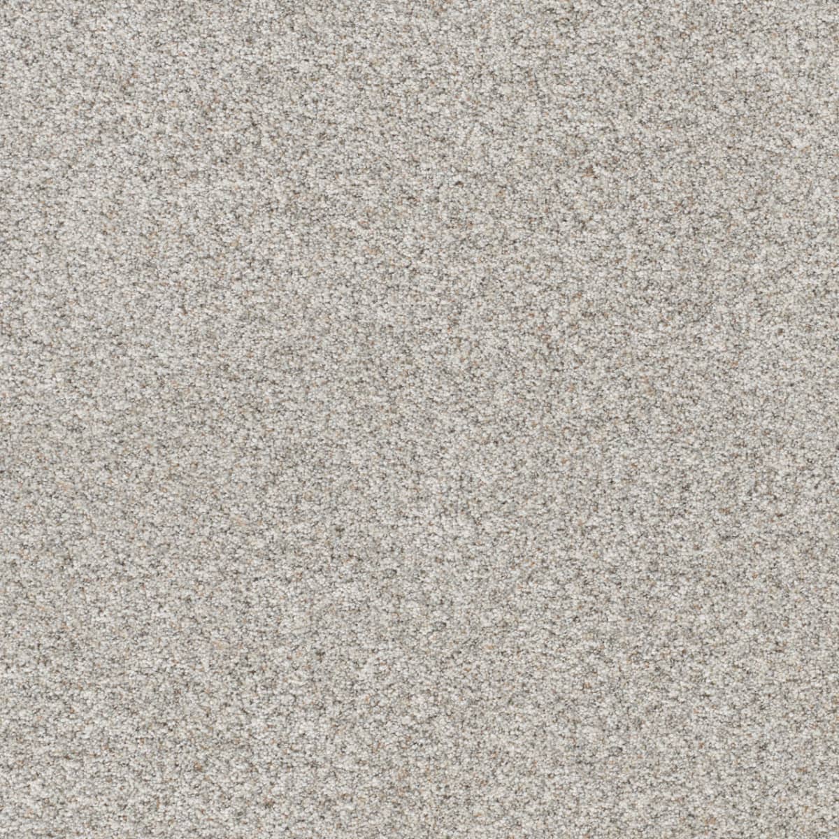 DreamWeaver® Out of This World II Textured Carpet