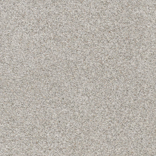 DreamWeaver® Out of This World III Textured Carpet