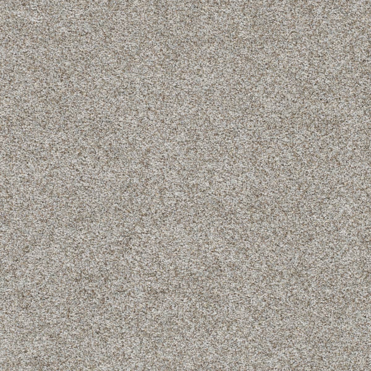 DreamWeaver® Out of This World II Textured Carpet