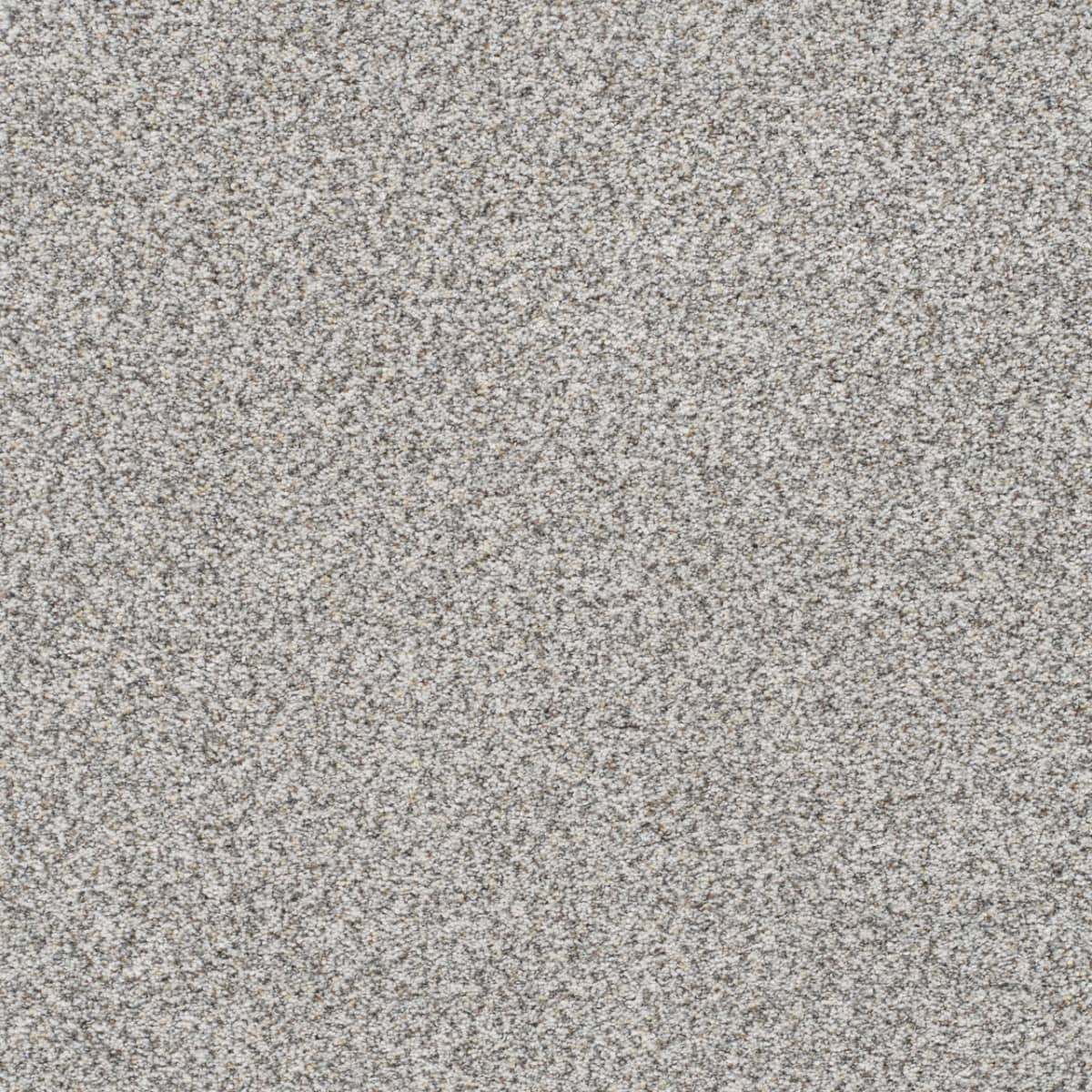DreamWeaver® Out of This World II Textured Carpet
