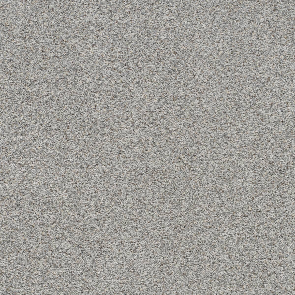 DreamWeaver® Out of This World II Textured Carpet