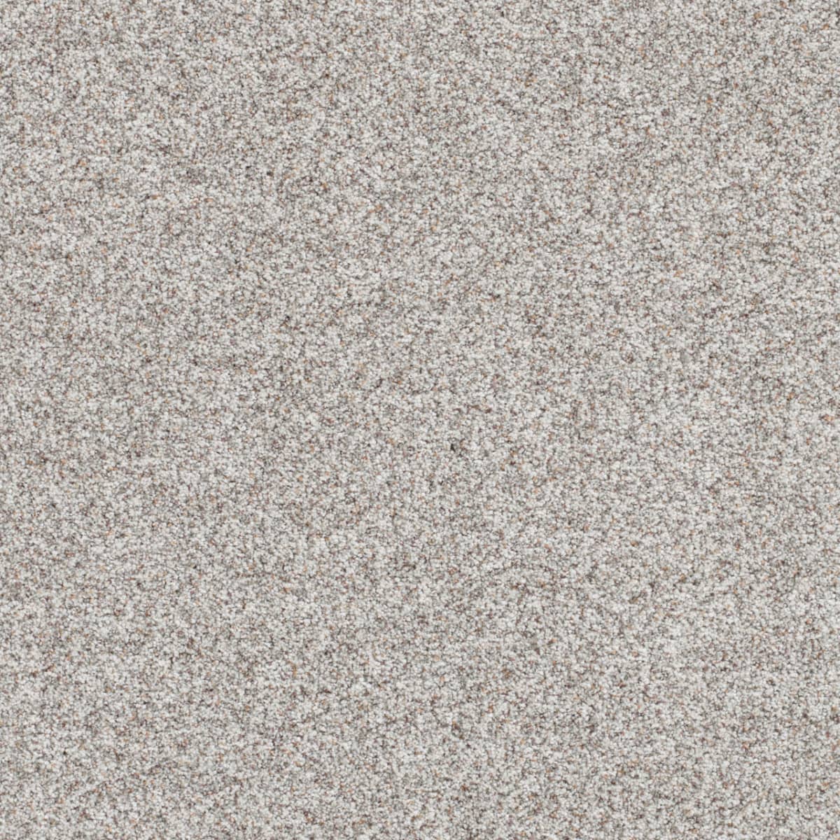 DreamWeaver® Out of This World II Textured Carpet
