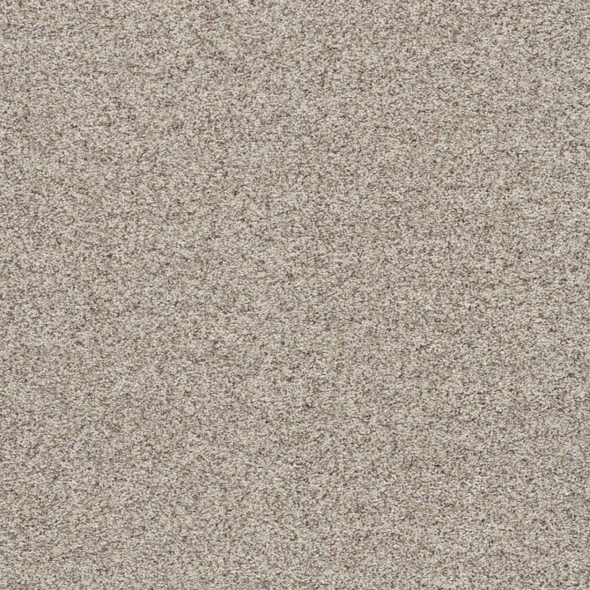 DreamWeaver® Out of This World II Textured Carpet