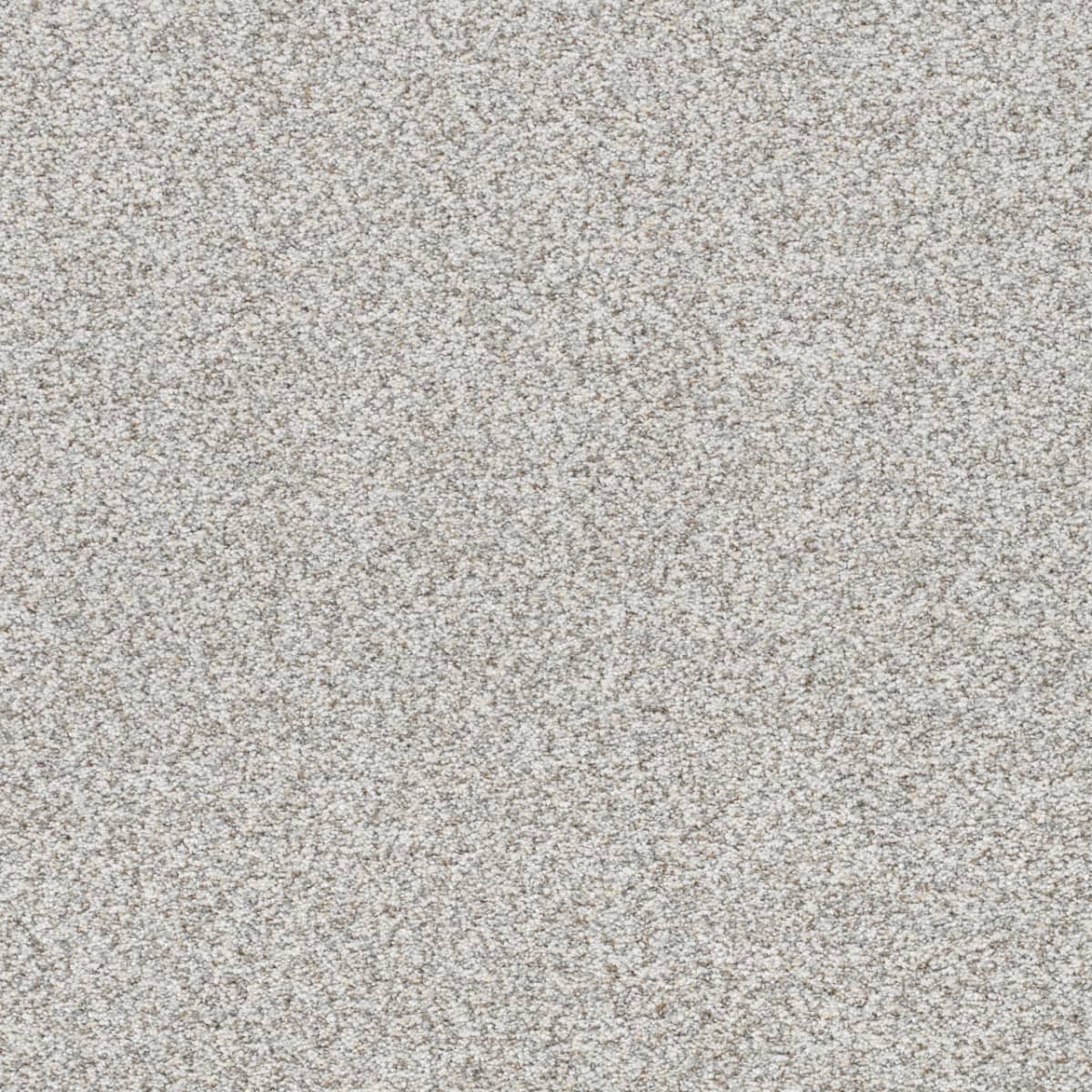 DreamWeaver® Out of This World II Textured Carpet