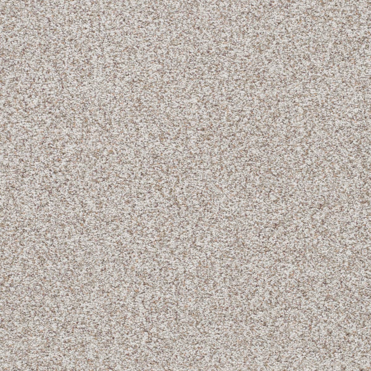 DreamWeaver® Out of This World II Textured Carpet