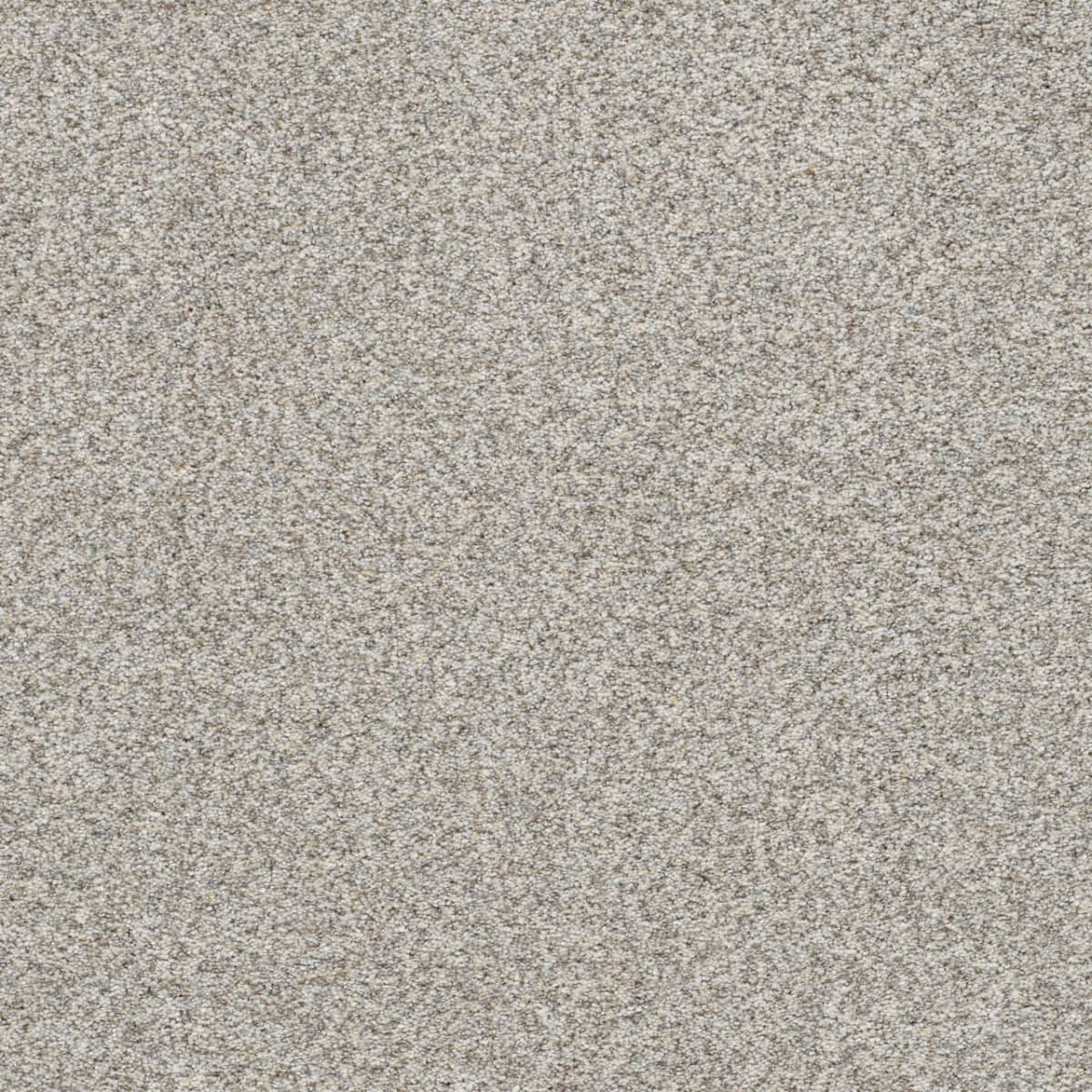 DreamWeaver® Out of This World II Textured Carpet