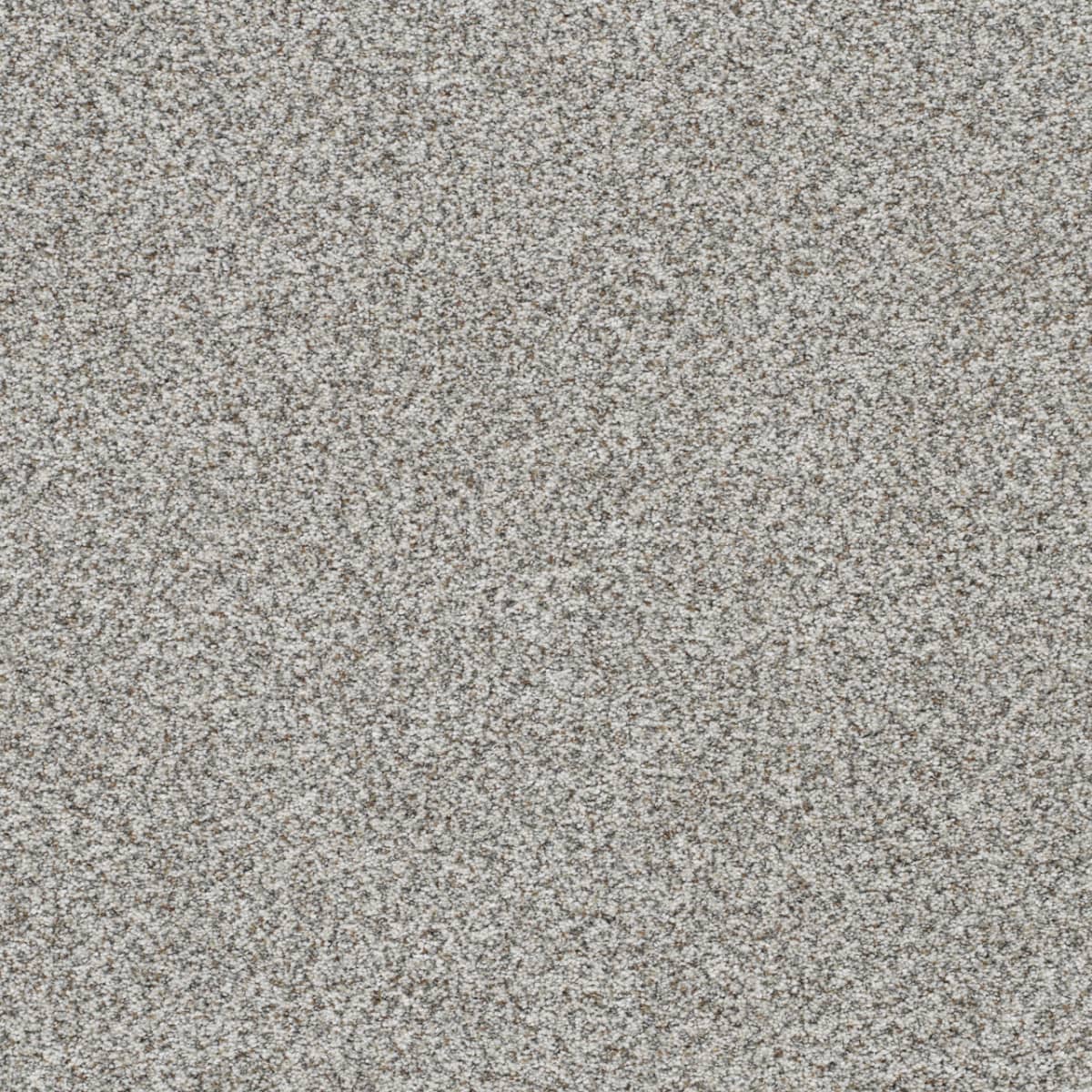 DreamWeaver® Out of This World II Textured Carpet