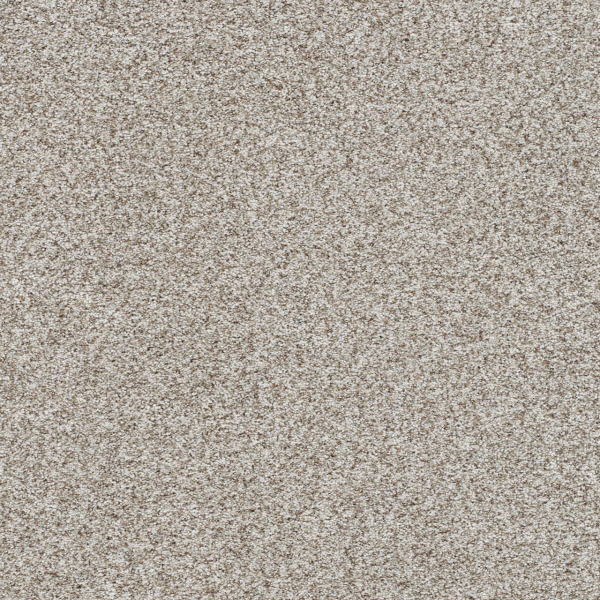 DreamWeaver® Out of This World II Textured Carpet
