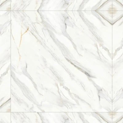 Shandar 48" x 48" Matte Porcelain Field Tile in Arezzo Bianco
