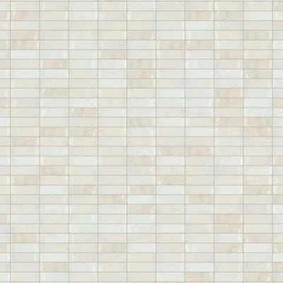 Celine 2" x 6" Glossy Porcelain Floor & Wall Tile in White